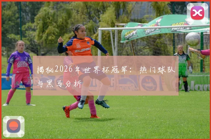 揭秘2026年世界杯冠军:热门球队与黑马分析