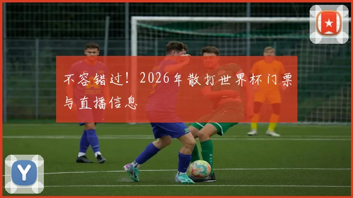 不容错过！2026年散打世界杯门票与直播信息
