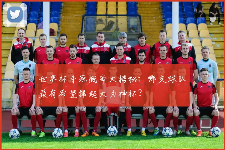 世界杯夺冠概率大揭秘:哪支球队最有希望捧起大力神杯?